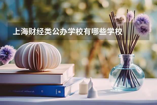 上海财经类公办学校有哪些学校