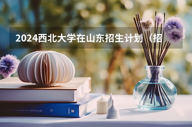 2024西北大学在山东招生计划（招生人数介绍）