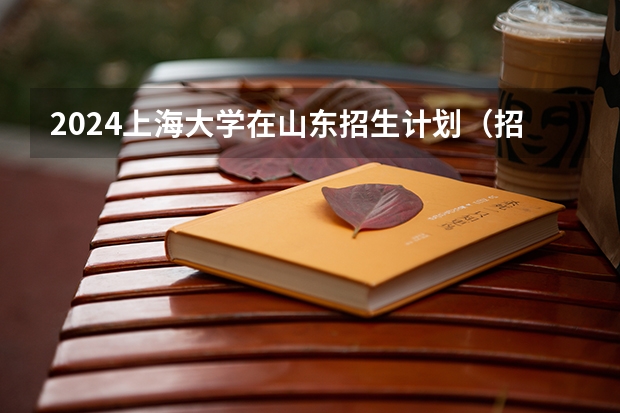 2024上海大学在山东招生计划（招生人数介绍）