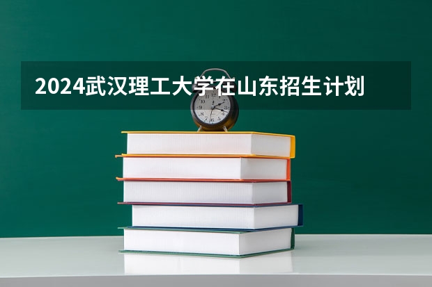 2024武汉理工大学在山东招生计划（招生人数介绍）