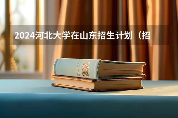 2024河北大学在山东招生计划（招生人数介绍）