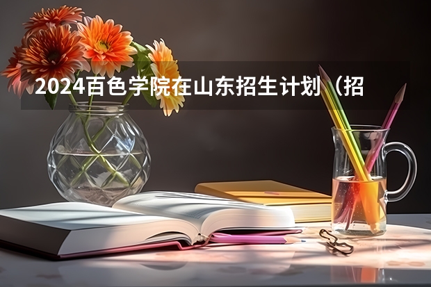2024百色学院在山东招生计划（招生人数介绍）