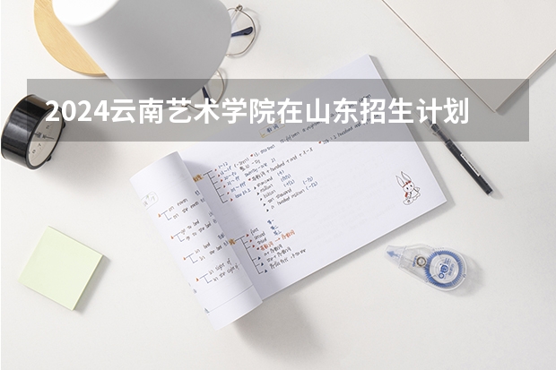 2024云南艺术学院在山东招生计划（招生人数介绍）