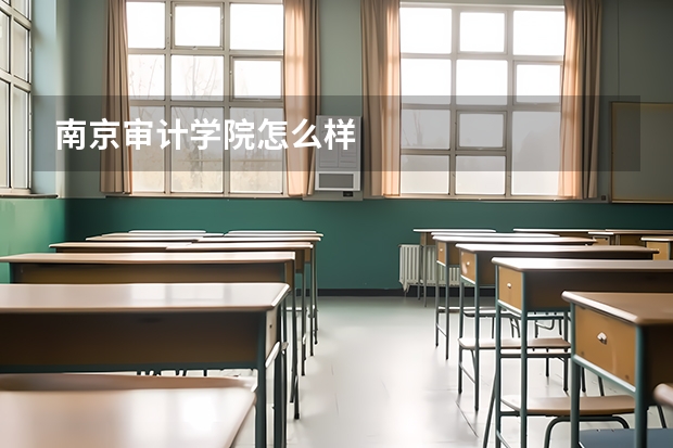 南京审计学院怎么样