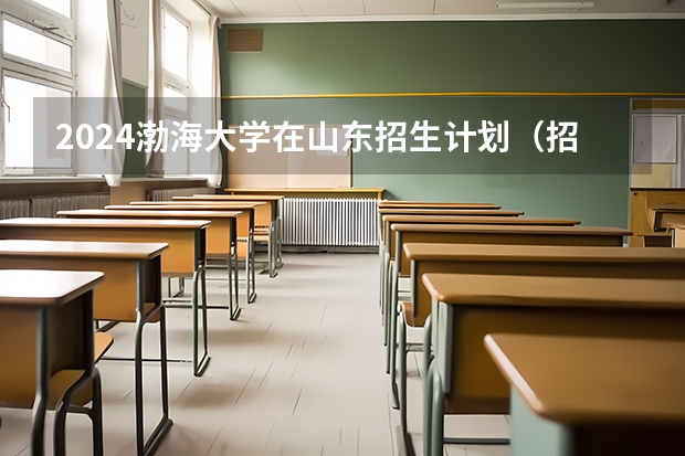 2024渤海大学在山东招生计划（招生人数介绍）