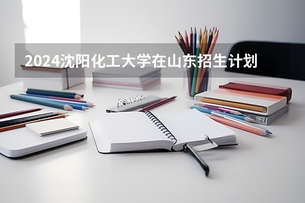 2024沈阳化工大学在山东招生计划（招生人数介绍）