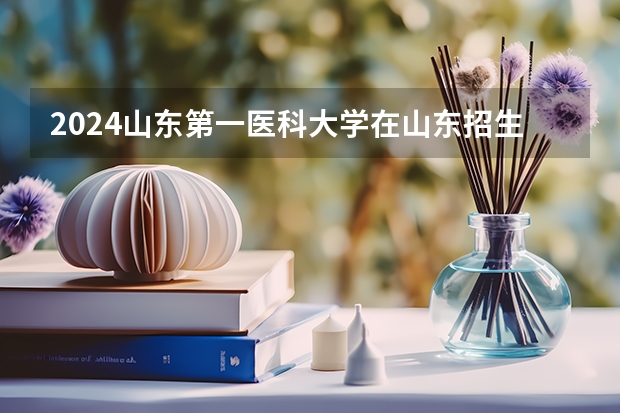 2024山东第一医科大学在山东招生计划（招生人数介绍）