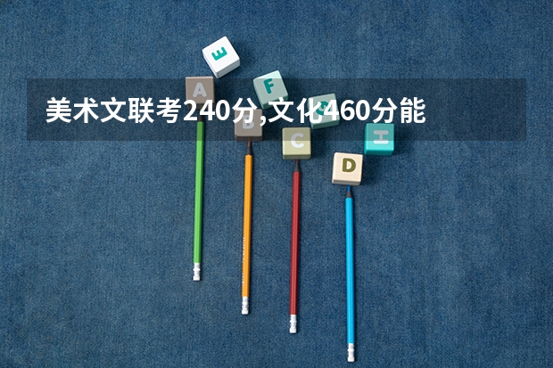 美术文联考240分,文化460分能考湖南木地哪些二本或一本大学？