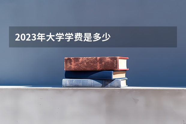 2023年大学学费是多少