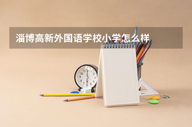 淄博高新外国语学校小学怎么样
