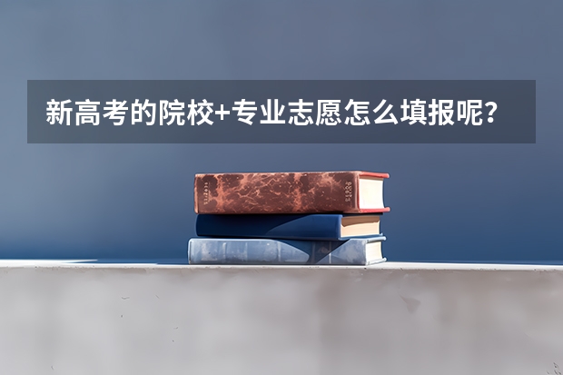新高考的院校+专业志愿怎么填报呢？
