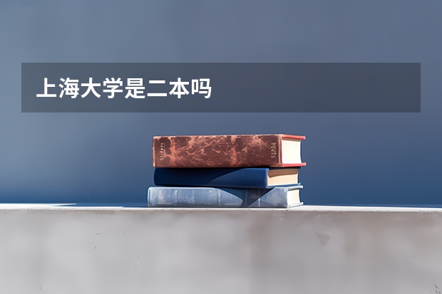 上海大学是二本吗