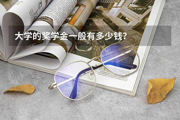 大学的奖学金一般有多少钱？