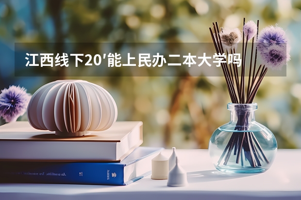 江西线下20′能上民办二本大学吗
