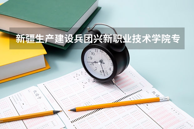 新疆生产建设兵团兴新职业技术学院专业和录取分数线是多少
