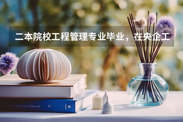 二本院校工程管理专业毕业，在央企工作一年，想申请香港理工大学研究生（湖南工业大学是一本还是二本）