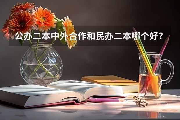 公办二本中外合作和民办二本哪个好？