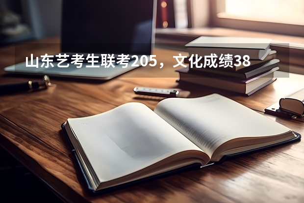 山东艺考生联考205，文化成绩384，能报哪些二本大学？