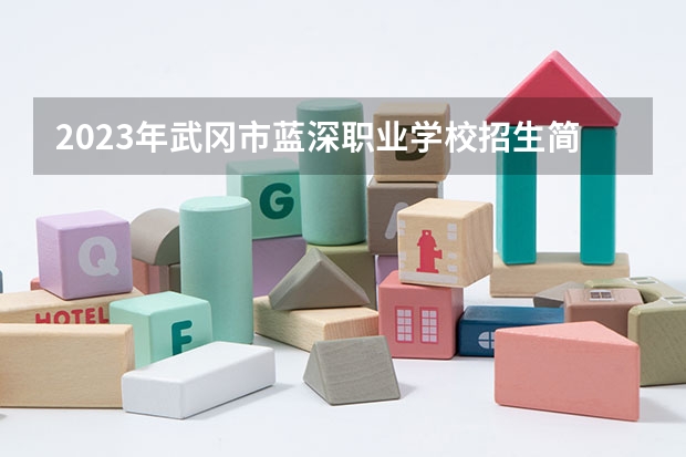 2023年武冈市蓝深职业学校招生简章电话地址师资怎么样