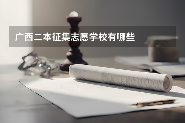 广西二本征集志愿学校有哪些
