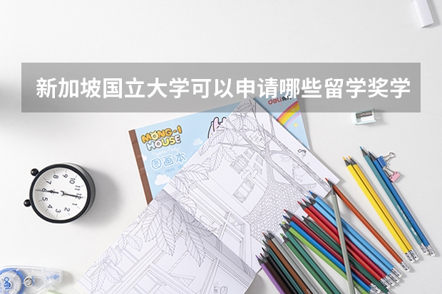 新加坡国立大学可以申请哪些留学奖学金