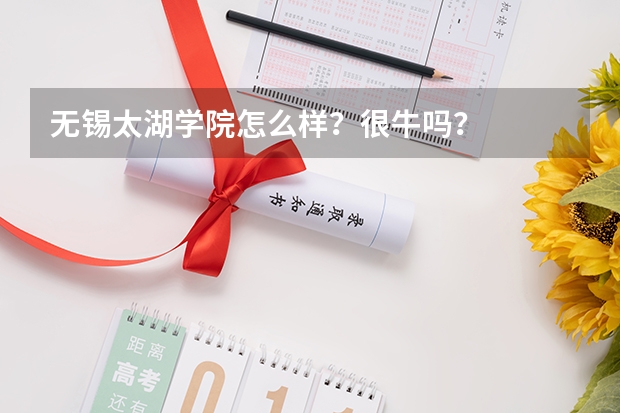 无锡太湖学院怎么样？很牛吗？