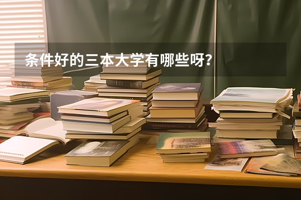 条件好的三本大学有哪些呀?