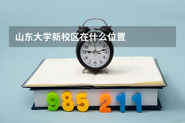 山东大学新校区在什么位置