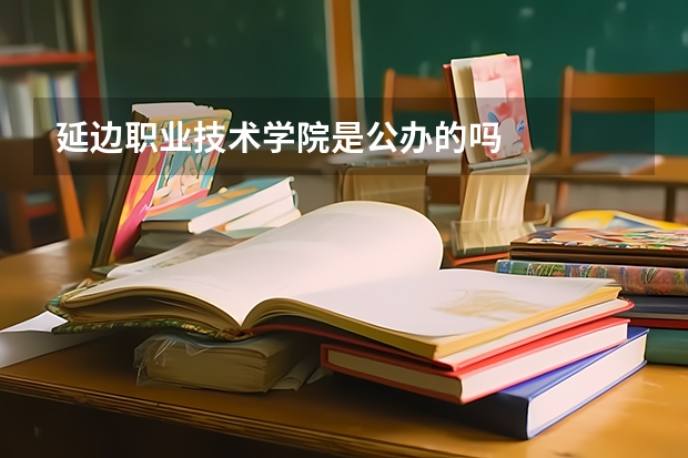 延边职业技术学院是公办的吗
