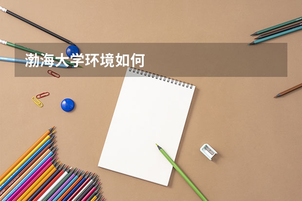 渤海大学环境如何