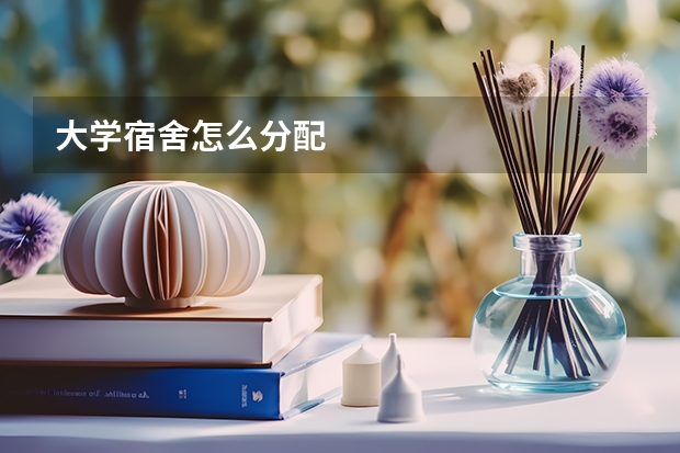 大学宿舍怎么分配