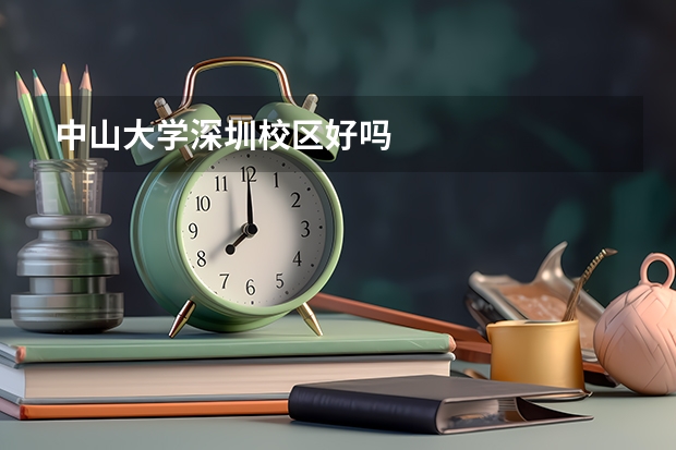 中山大学深圳校区好吗