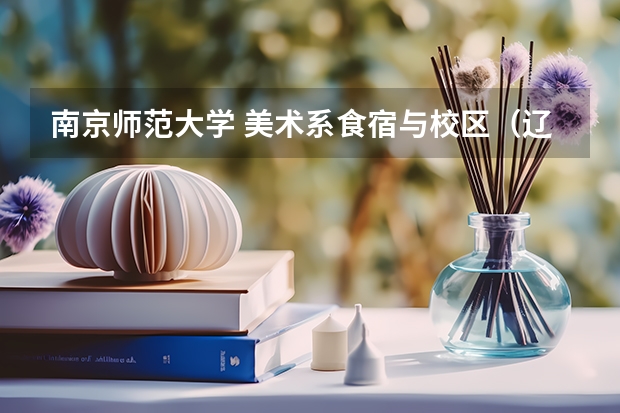 南京师范大学 美术系食宿与校区（辽宁美术职业学院学校简介）