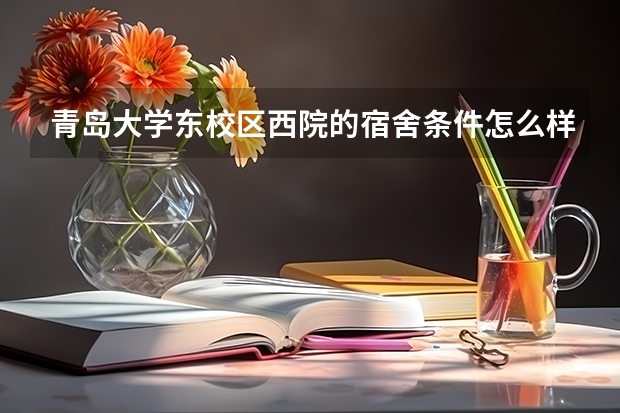 青岛大学东校区西院的宿舍条件怎么样啊？1000元的那种