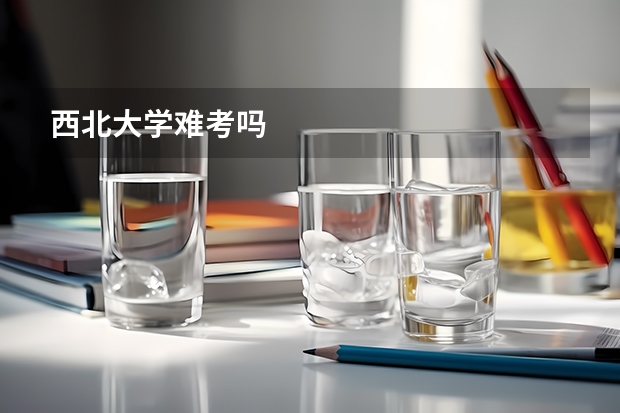 西北大学难考吗