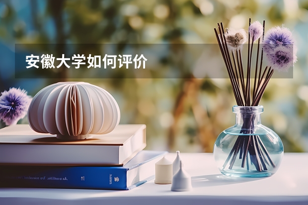 安徽大学如何评价