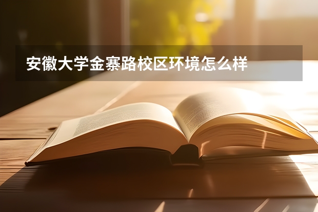 安徽大学金寨路校区环境怎么样