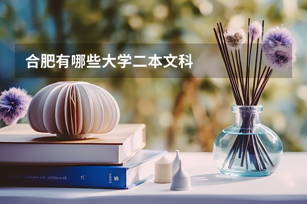 合肥有哪些大学二本文科