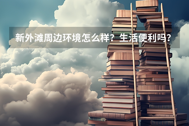 新外滩周边环境怎么样？生活便利吗？