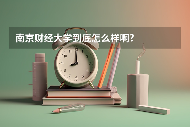 南京财经大学到底怎么样啊?