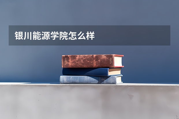 银川能源学院怎么样