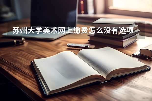 苏州大学美术网上缴费怎么没有选项
