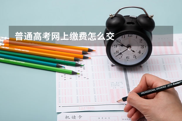 普通高考网上缴费怎么交