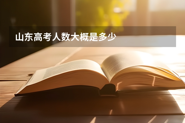 山东高考人数大概是多少