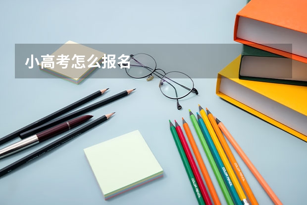 小高考怎么报名