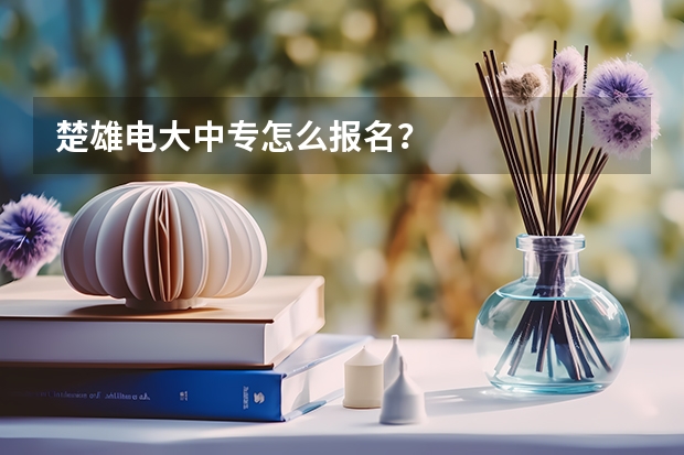 楚雄电大中专怎么报名？