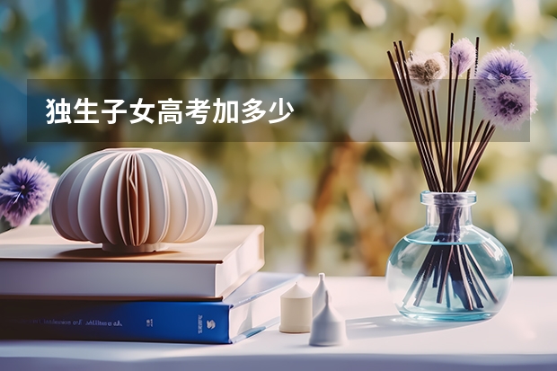独生子女高考加多少
